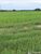 Fazenda-Sítio-Chácara - Foto 18