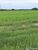 Fazenda-Sítio-Chácara - Foto 26