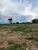 Fazenda-Sítio-Chácara - Foto 31