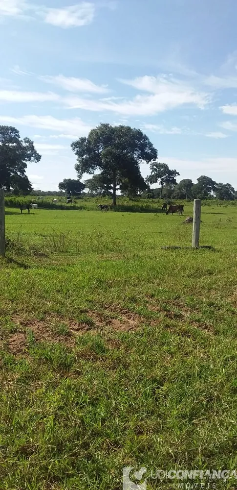 Fazenda - Foto 5