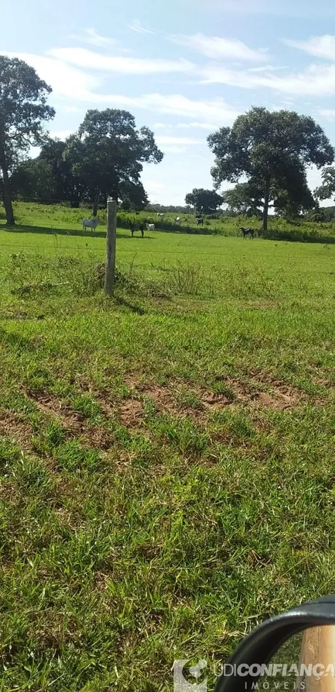 Fazenda - Foto 7