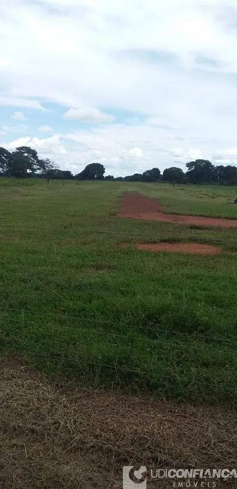 Fazenda - Foto 8