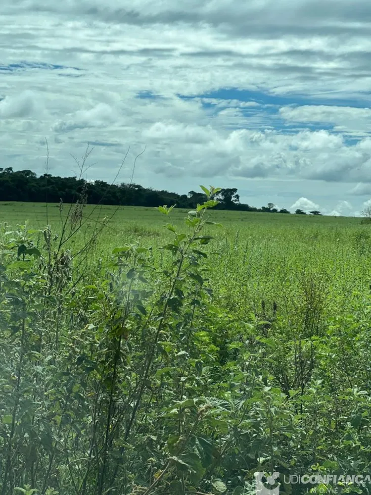 Fazenda - Foto 6