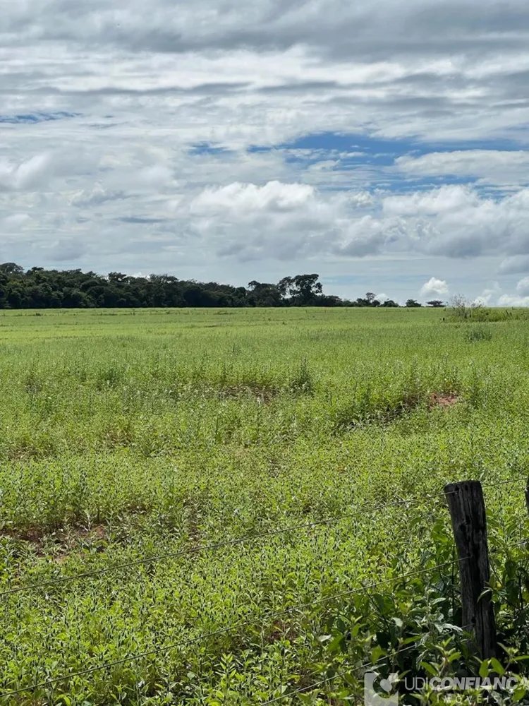 Fazenda - Foto 4