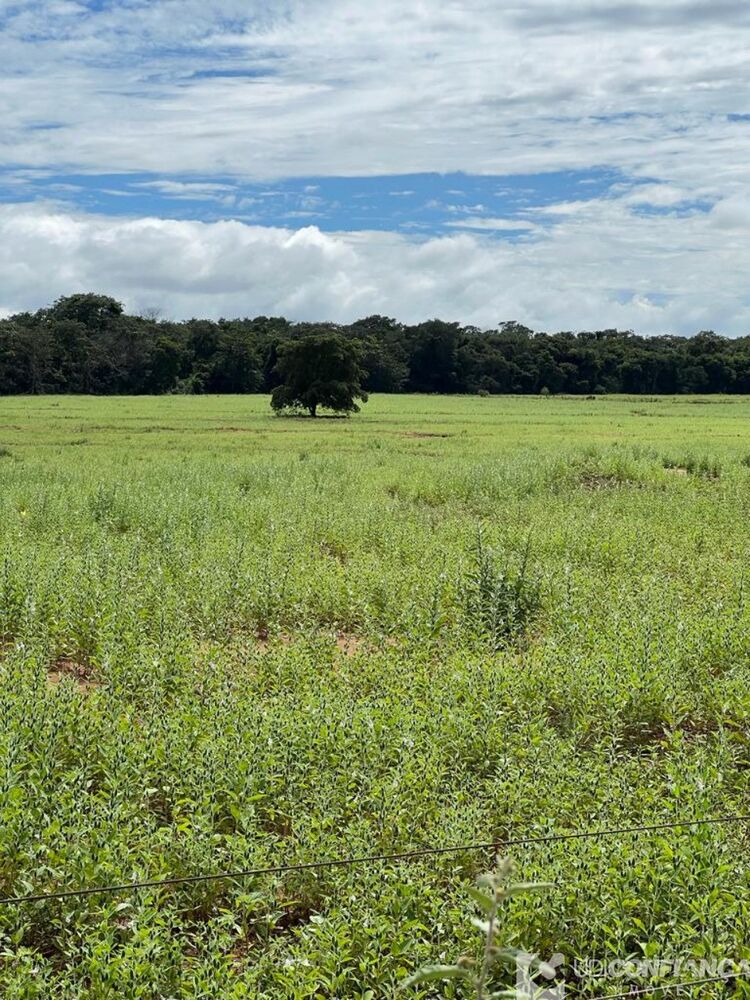 Fazenda - Foto 2