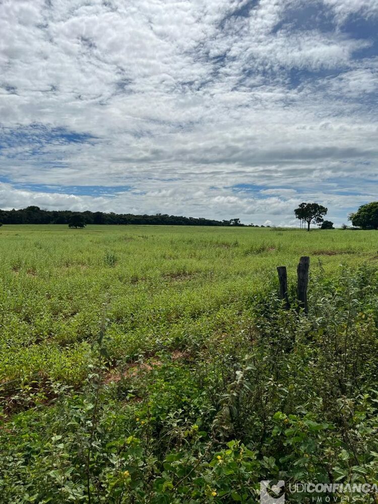 Fazenda - Foto 6