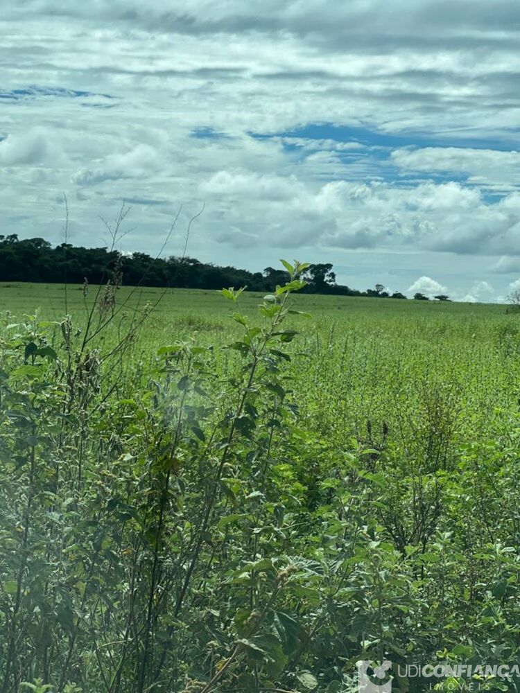 Fazenda - Foto 5