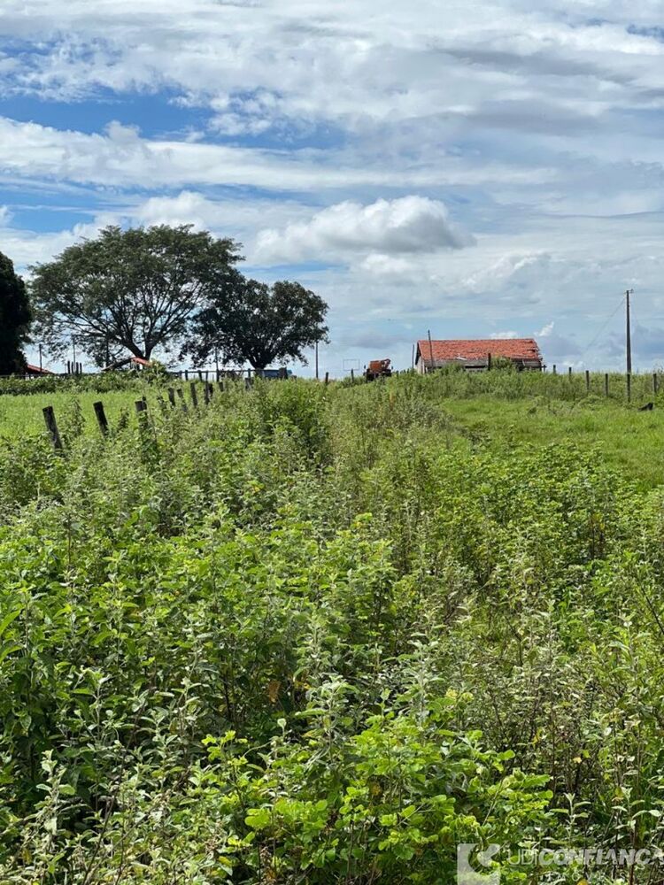 Fazenda - Foto 1