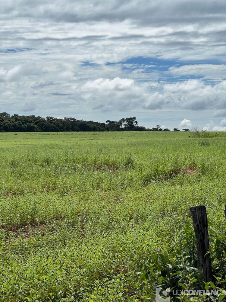 Fazenda - Foto 3