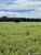 Fazenda - Foto 2