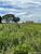 Fazenda - Foto 1