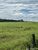 Fazenda - Foto 3