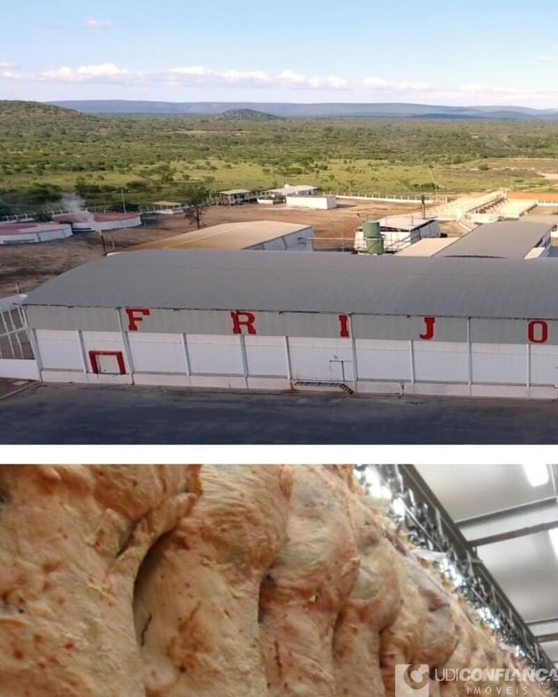 Fazenda à venda - Foto 2