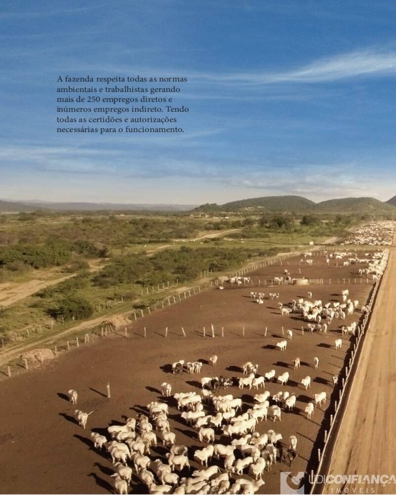 Fazenda à venda - Foto 7
