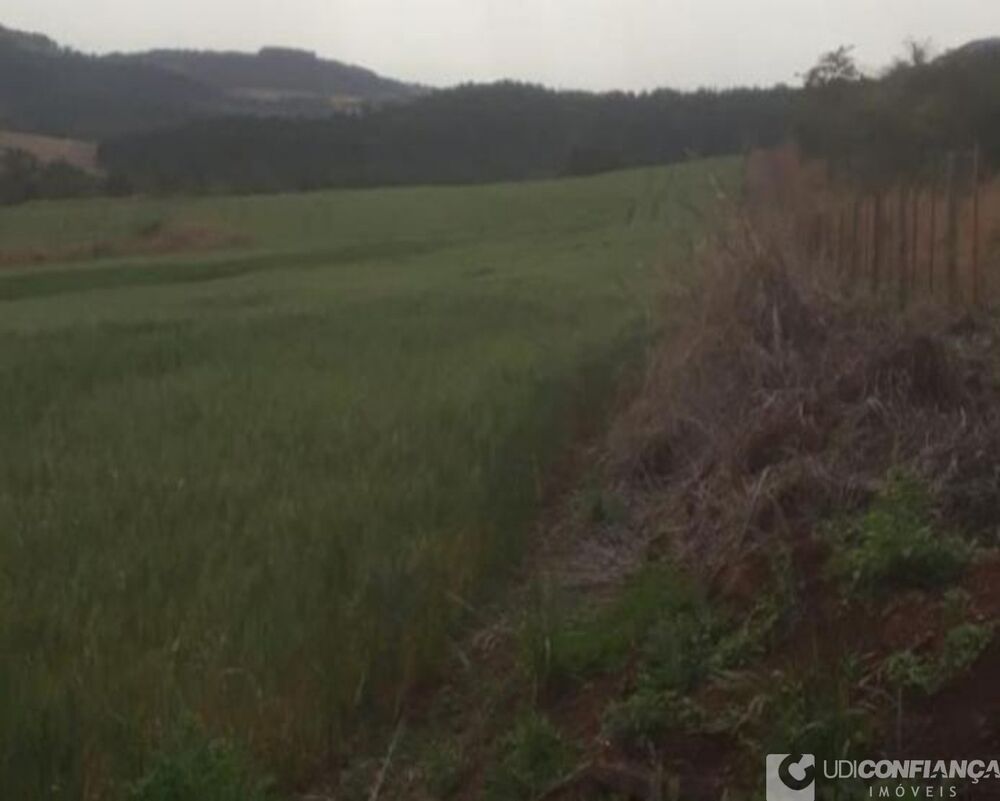Fazenda, 305 m² - Foto 4