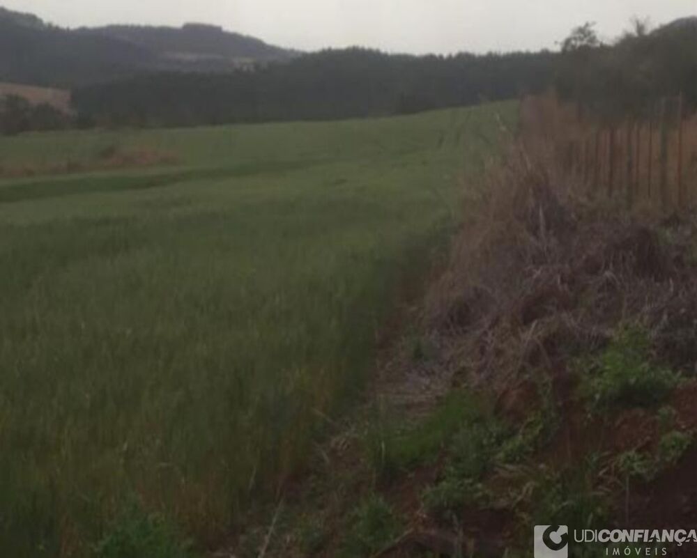 Fazenda, 305 m² - Foto 6