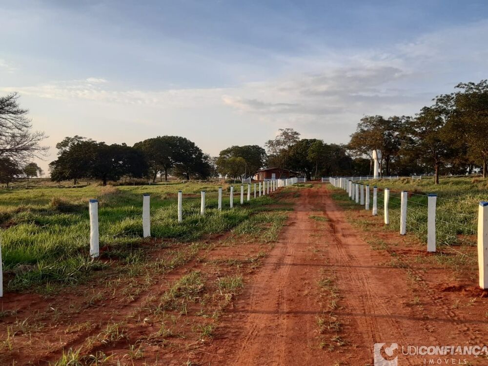 Fazenda - Foto 1