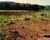 Fazenda-Sítio-Chácara - Foto 4