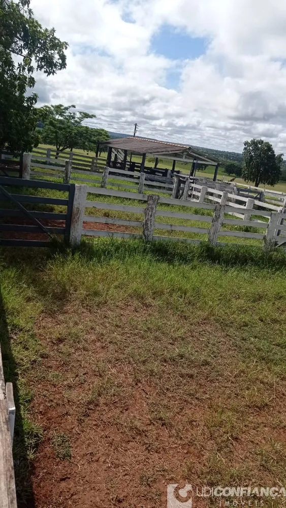 Fazenda - Foto 5