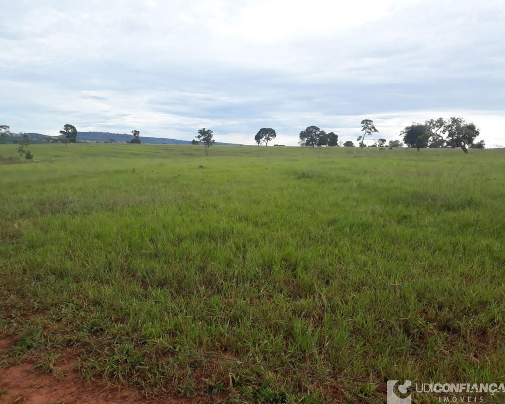 Fazenda - Foto 3