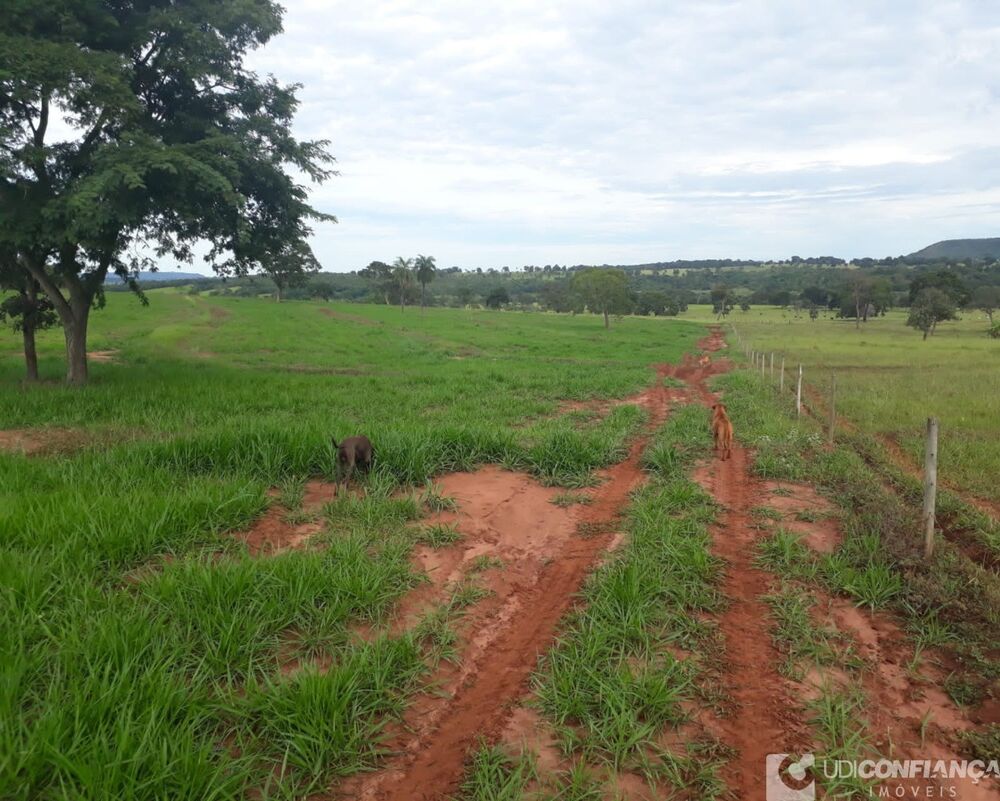 Fazenda - Foto 2