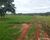 Fazenda - Foto 2