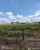 Fazenda - Foto 2