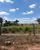 Fazenda - Foto 4
