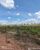 Fazenda - Foto 3
