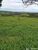 Fazenda - Foto 4