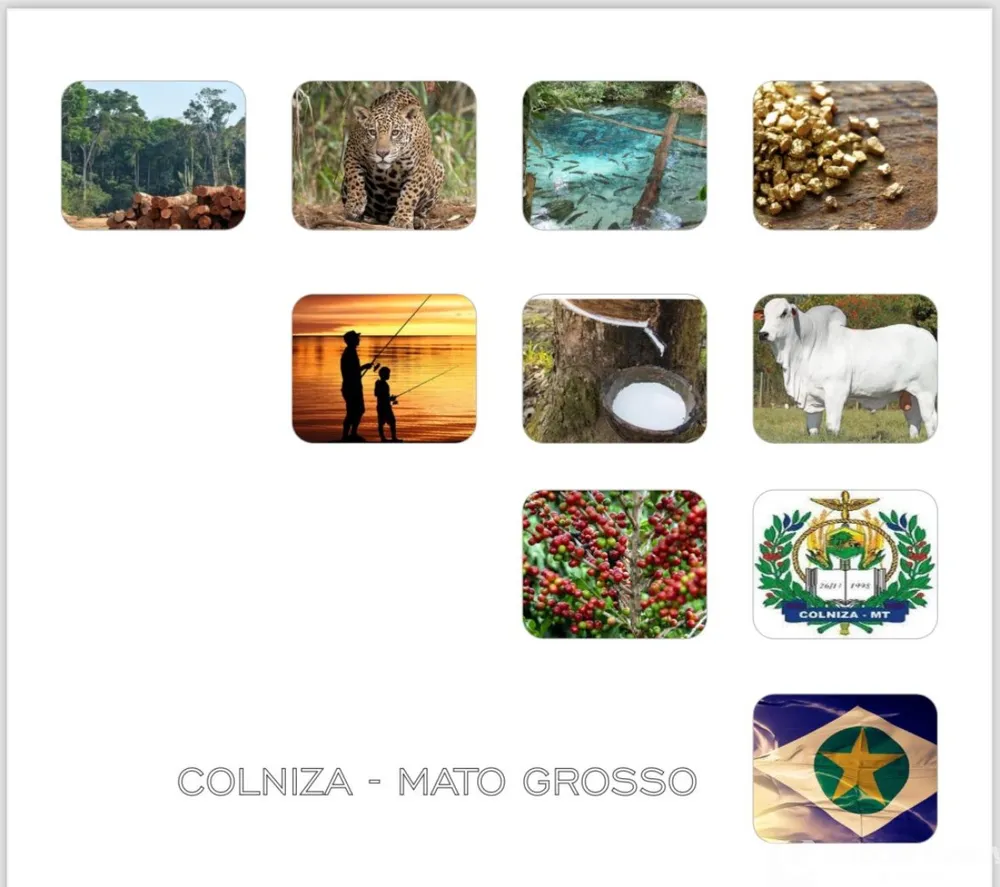 Fazenda - Foto 1