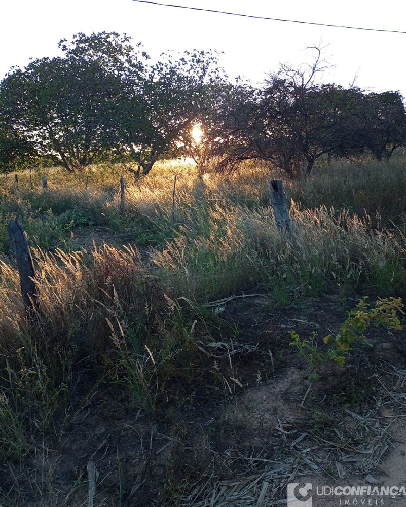 Fazenda à venda com 2 quartos - Foto 6