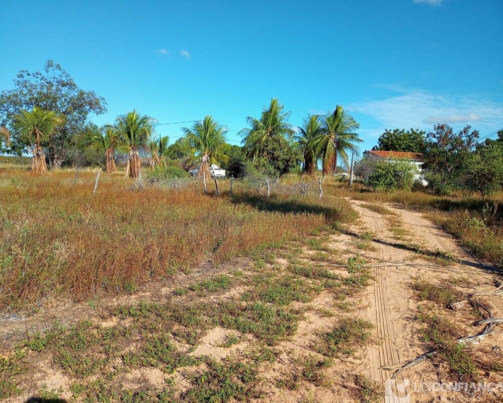 Fazenda à venda com 2 quartos - Foto 8