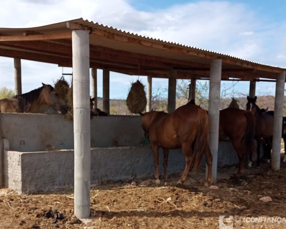 Fazenda à venda com 2 quartos - Foto 5