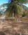 Fazenda-Sítio-Chácara, 2 quartos - Foto 4