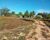 Fazenda-Sítio-Chácara, 2 quartos - Foto 8