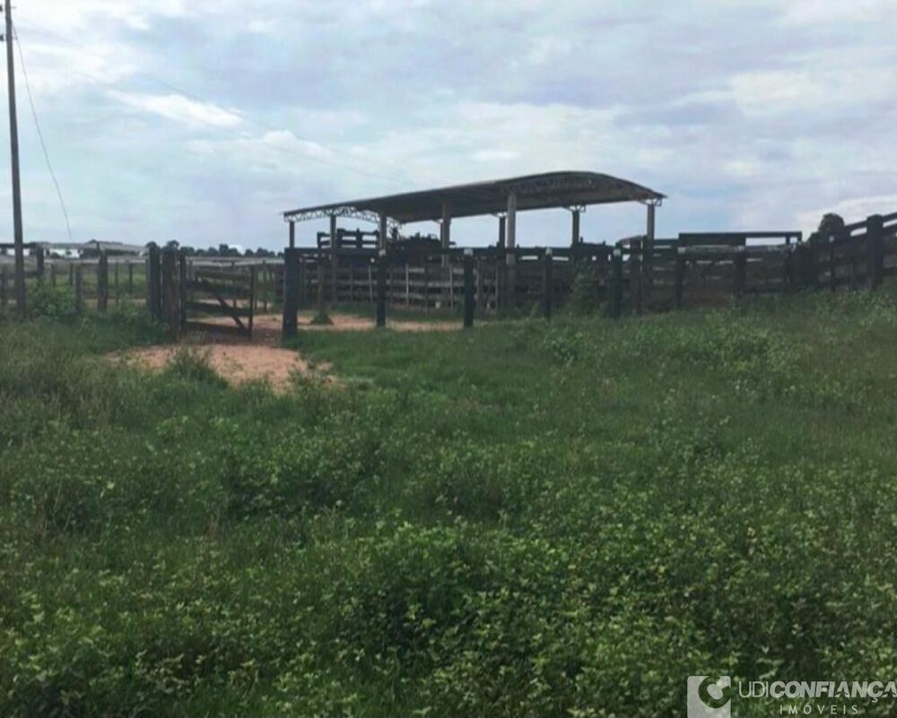 Fazenda à venda - Foto 9