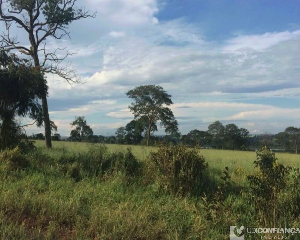 Fazenda à venda - Foto 11
