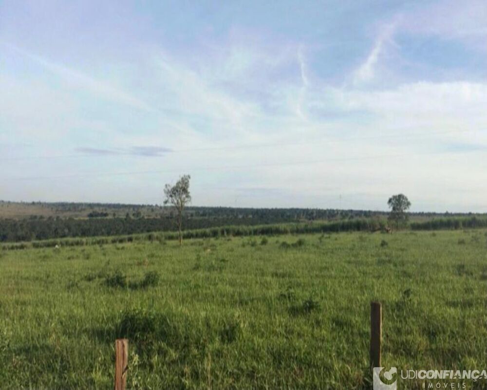 Fazenda à venda - Foto 14