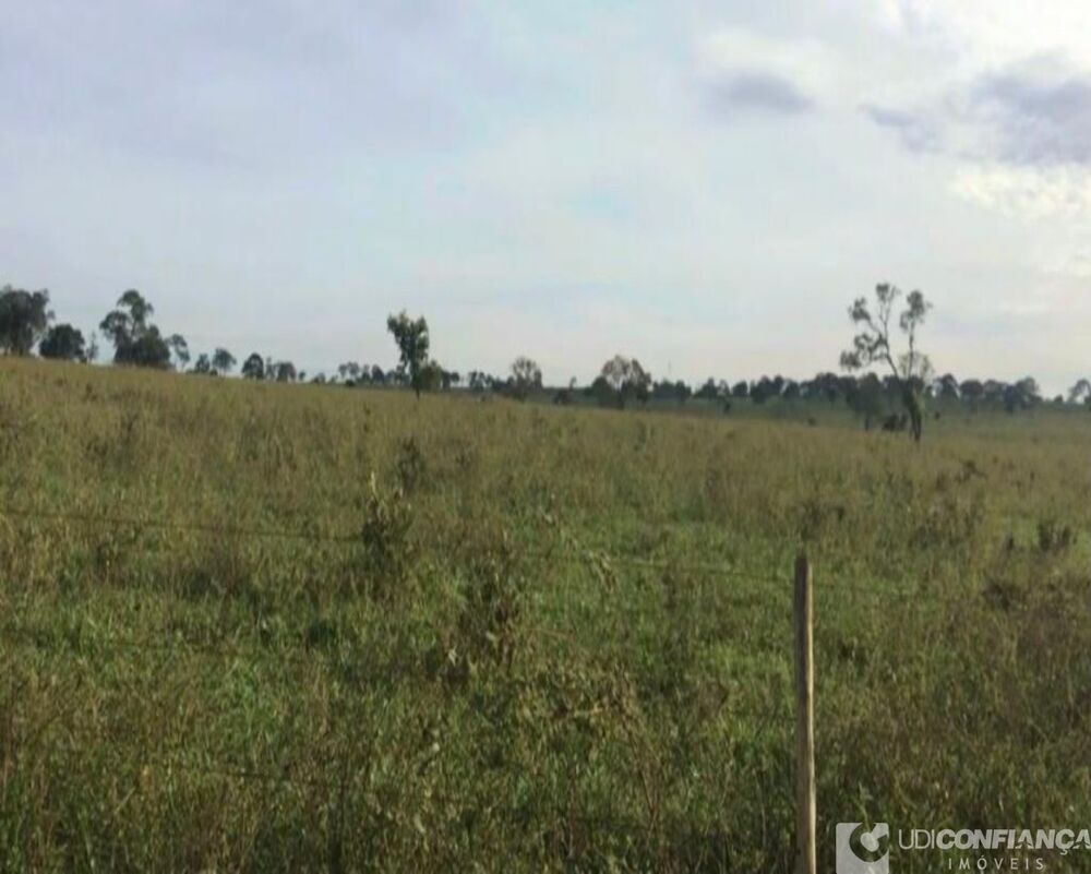 Fazenda à venda - Foto 5