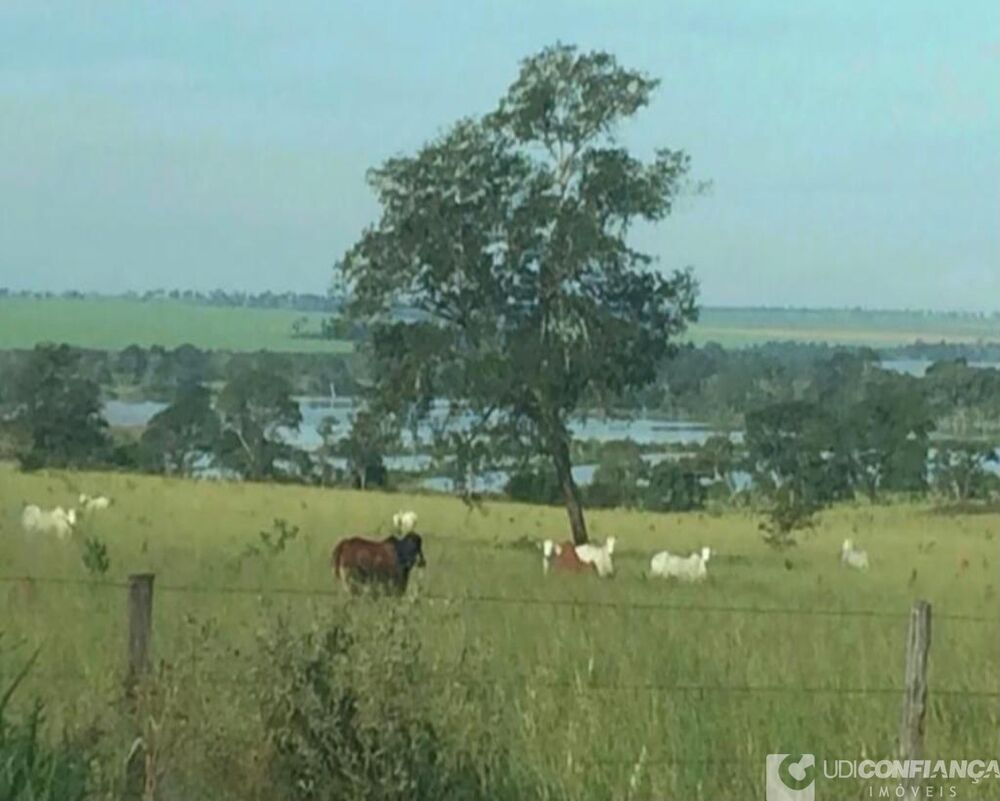 Fazenda à venda - Foto 12