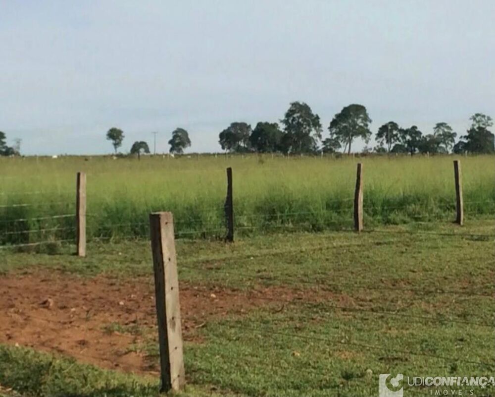 Fazenda à venda - Foto 7