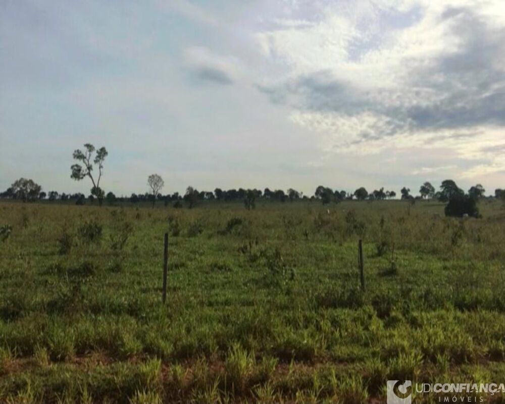 Fazenda à venda - Foto 6