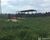 Fazenda - Foto 2