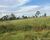 Fazenda-Sítio-Chácara - Foto 13