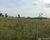 Fazenda-Sítio-Chácara - Foto 5