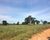 Fazenda-Sítio-Chácara - Foto 3