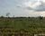 Fazenda-Sítio-Chácara - Foto 6