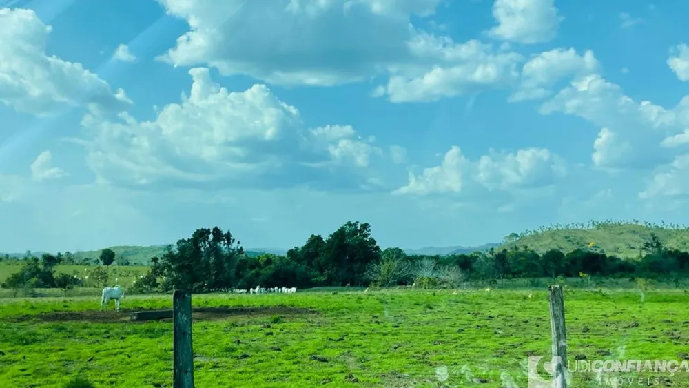 Fazenda - Foto 1