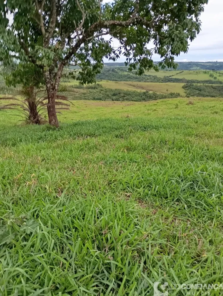 Fazenda - Foto 4